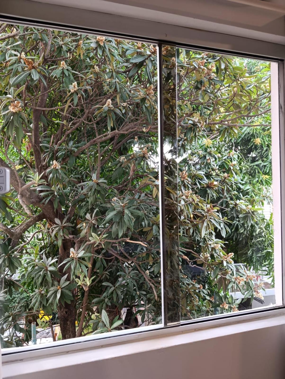 Ferienwohnung Taguato Asunción Exterior foto
